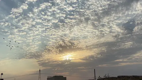 اطلب منك الموت ياالله_#دكتور_احمد_الوائلي _#viral #parati #anime 