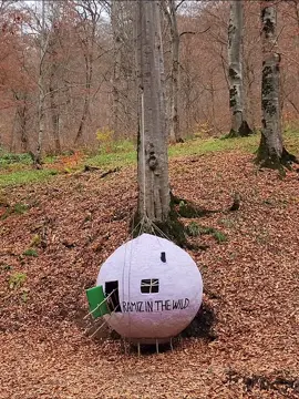 the safest haven i ever built #camping #survival #build #Outdoors #2025 