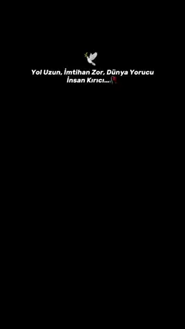 #yolunuzunimtihanzordunyayorucuinsankırıcı#sozbirakin📌 #sozler_diyari11 #storylikk 