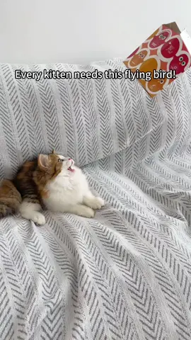 #cattoys #dealsforyoudays #catsoftiktok  #catlovers #cats 