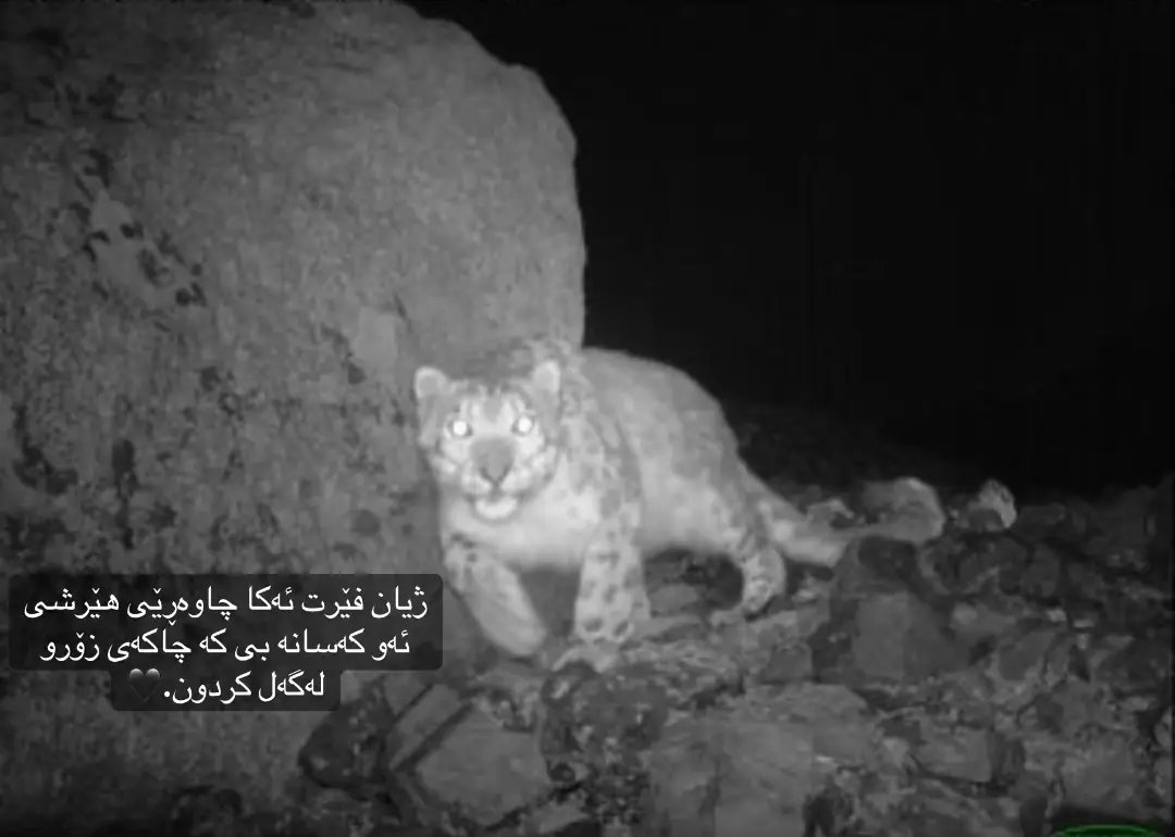 🖤🖤#fyp #furyou #following #like #aagha00 