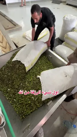 #sheikha #معصرة_الشيخ_الحديثة #olivepress #oliveoil #fyp