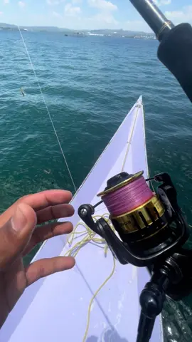 Mancing di  laut menggunakan umpan udang hidup #fyp #foryoupage#fyp #mancingpinggiranlaut ##dasaran 