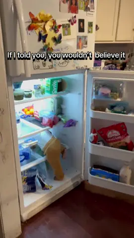 He got in himself 🤷🏻‍♀️😂 #repost #fyp #babiesoftiktok #KitchenHacks 