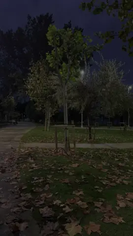#hasansharif ❤️‍🔥🍂
