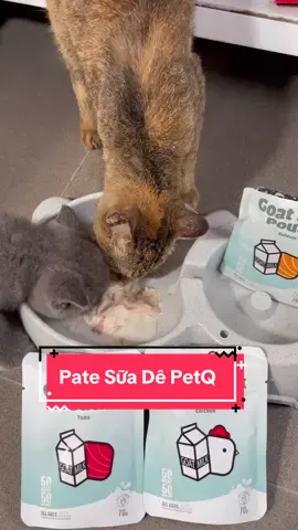 Pate Sữa Dê PetQ.Pate cao cấp cho mèo mọi lứa tuổi#petq #thucanchomeo #catlovers #thucanchomeo #petfood 