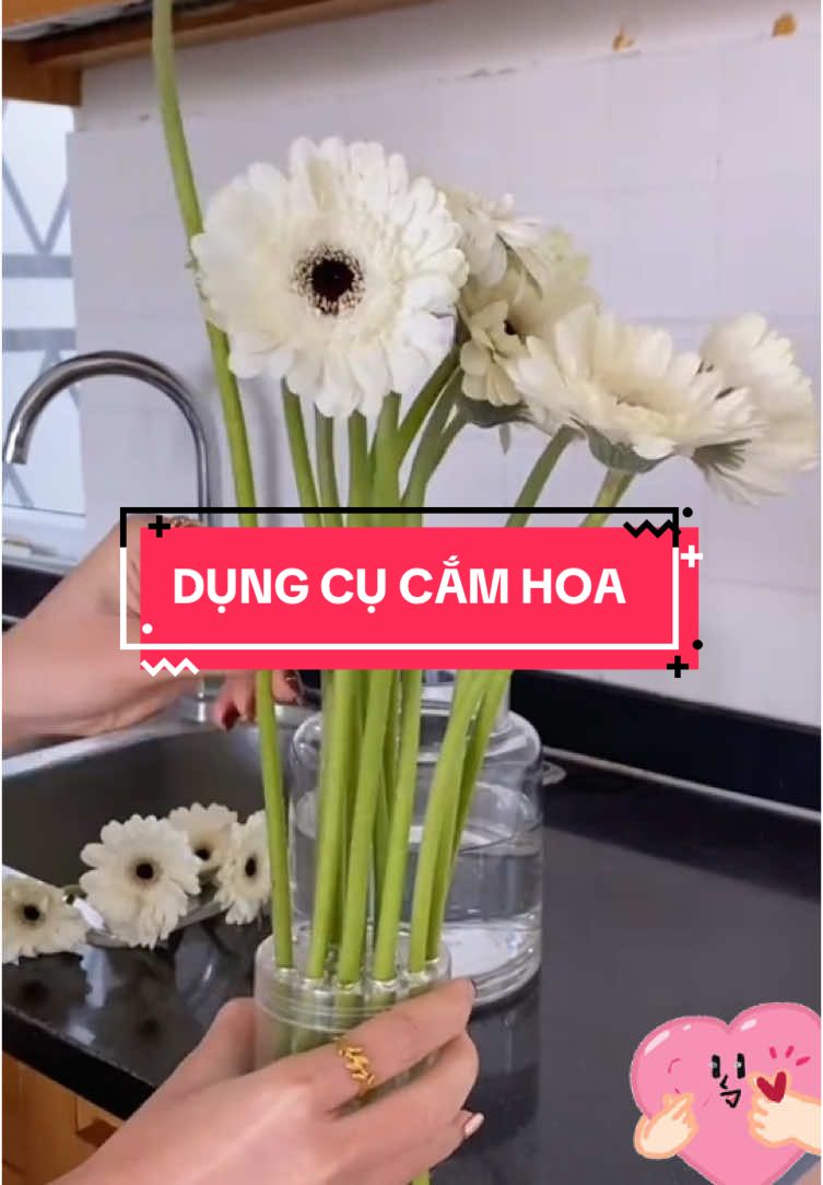 Dụng cụ hỗ trợ cắm hoa #camhoa #dungcutienich #dungcucamtay #chamhoa #nhacuadoisong #xh #viral #vinhhome 
