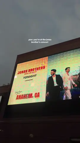 honestly my heart needed this concert so bad it was so much fun screaming to every song 🥲 i want to go again  #jonasbrothers #jonasbrothersconcert #burninup #joejonas #nickjonas 