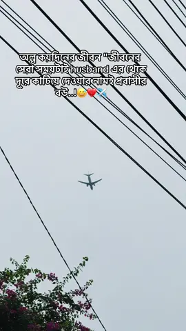 অল্প কয়দিনের জীবন 