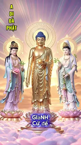 Phật pháp nhiệm màu hãy sống như lời Phật dạy #nammobonsuthichcamauniphat #nammoadidaphat🙏🙏🙏 #nammodiatangvuongbotat #nammoquantheambotat #nammoquantheambotat 