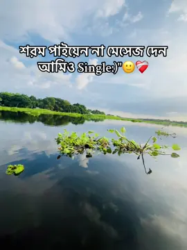 মেছেজ দিলে সাথে সাথে রিপ্লাই 🙂#foryou #viral #trending #fyppppppppppppppppppppppp #videoviral @For You House ⍟ 