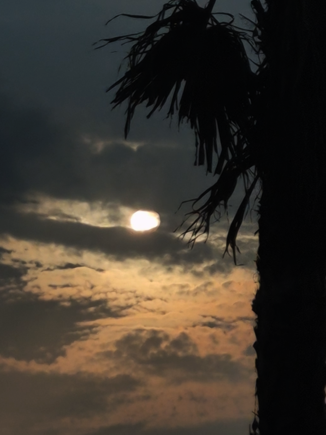 وبحلفلك هشيلك بره حساباتى 👋🏽👋🏽 #شيرين_عبد_الوهاب #شيرين #تصويري📸 #وبحلفلك 