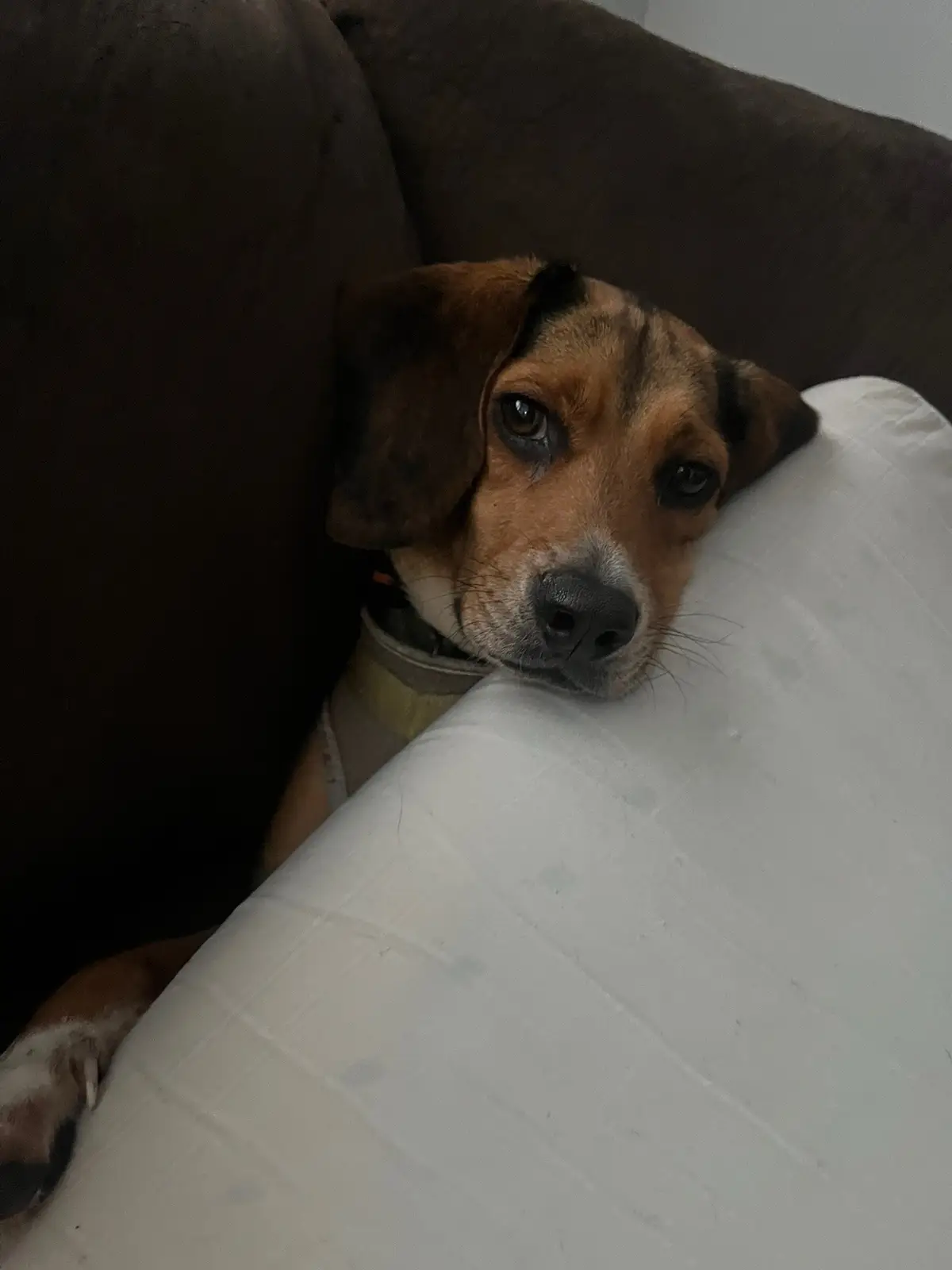 #life #been #good #greatful 