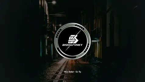 Sa fly - Wizz Baker | Reggae Remix (Thiano Nangga Music Channel) 🎧 #remix #lagutimurviral #wizzbaker #safly #fyppppppppppppppppppppppp 