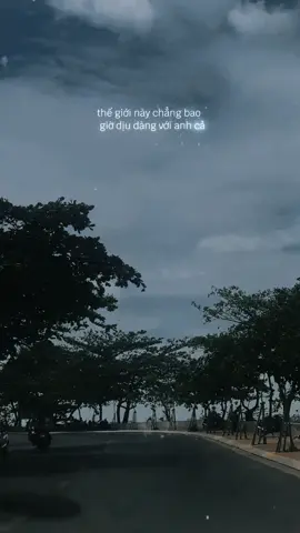 Thế giới này chẳng bao giờ dịu dàng với anh cả, anh tủi thân lắm. #vũngtàu #sadlove #alonelife 