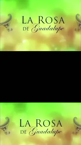 #unaflortambienesroca  #larosadeguadalupe 