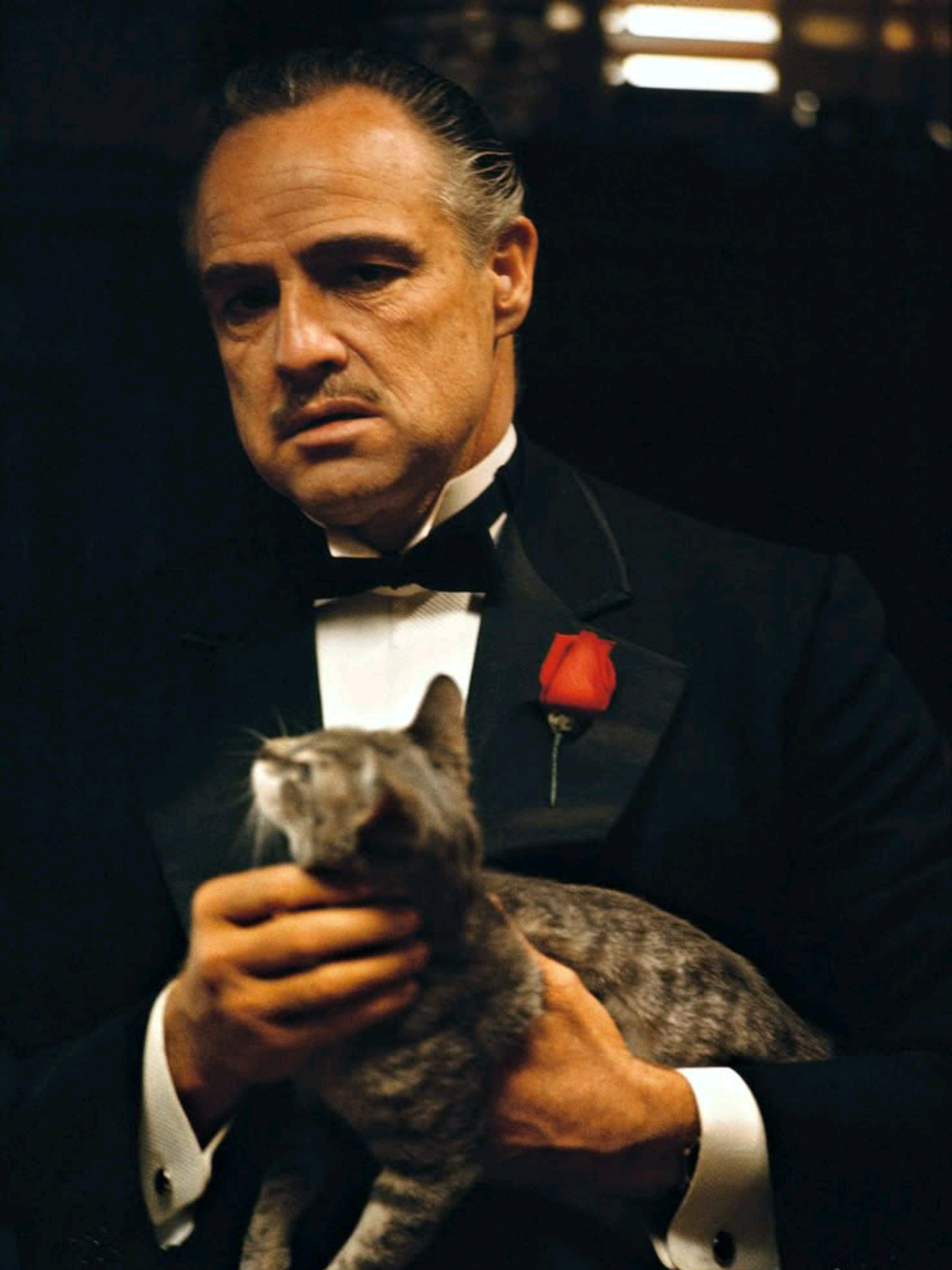 فيتو كورليوني  #VitoCorleone  #TheGodfather  #Corleone #explore  #foryou 