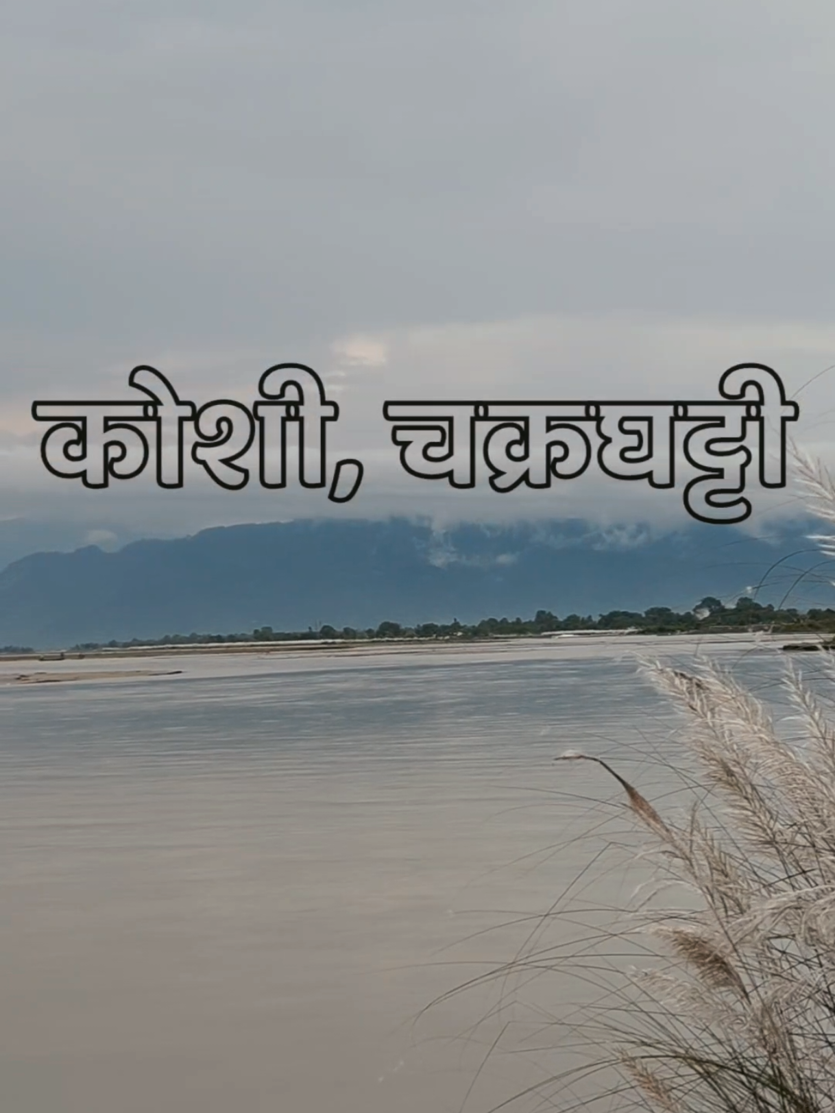 📍Chakraghatti, Koshi #koshi #chakraghatti #nature #trending #koshitappu 