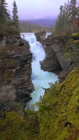 Rising up over a mossy ledge to reveal the magnificent Athabasca Falls in Jasper National Park. Surrounded by rugged cliffs and forested peaks, this powerful waterfall is one of Alberta’s most breathtaking natural wonders 🤩
