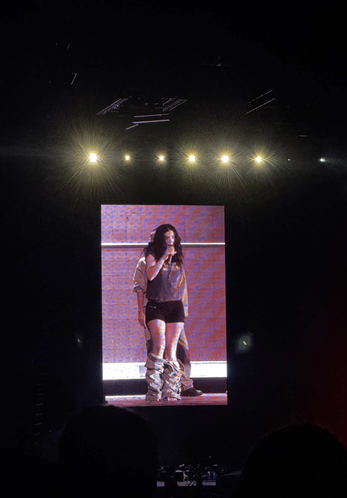 life changing @Lorde #lorde #ribs #concert #ultrasoundtour #lorderibs 