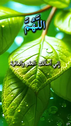 دعاء 🤲 اللهم إِني أسألك  العفو والعافية#مقاطع_دينية #دعاء #دعاء_يريح_القلوب #ارح_سمعک_وقلبک #صلوا_على_رسول_الله 