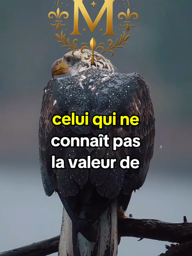 La valeur d'une mère #conseil #citation #motivatio #france🇫🇷 #LIVEIncentiveProgram 