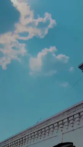 #چھینہ_بس_مریں_نہ💔🙏😔 #fyp #onthisday #@👑MaحeR🚬jee👑 @Noni Baba❤️ @چــــــیف چـــانــڈیــو 🖤✨ @HUسNAIN_تھAEEM ##سنگت_ویڈیو_وائرل_کریسو_آپ_ہیں🥀🌼🙈✨🎇 #