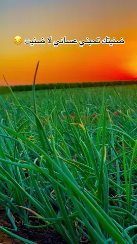 ضنيتك تحبني عساني لا ضنيت 💔#تصويري #تصويري #تصويري_احترافي_الاجواء👌🏻🕊😴 #عباره_للفيديو🙂💔 #مجرد________ذووووووق🎶🎵💞 