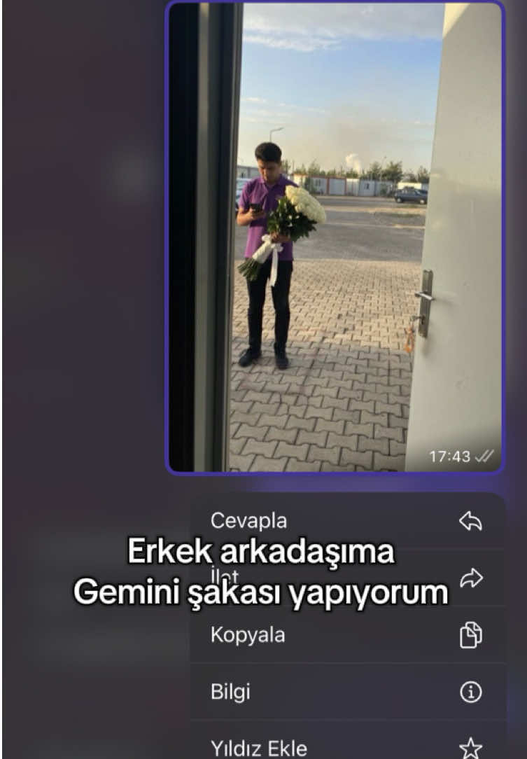 SKWŞFKSŞFPSJAL #gemini #fyppppppppppppppppppppppp #kesfet #keşfetteyizzz #gemini_nt 