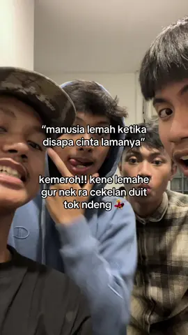 stecu✌🏻 #4u #fyp #xyzbca 