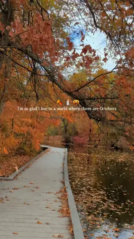 Happy October 1st to all my autumn souls 🥧🍂🎃🕯️ I'm currently counting down the hours for my fall road trip. I can't wait to share some new magical places 🫶.  Where are some of your favorite New England hidden gems?!  #autumn #autumnseason #autumnsoul #magicalplaces #newengland 