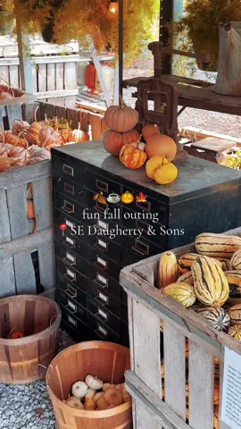 Happy October! Here is my haul from S.E. Daugherty & Sons in Nashville! If you’re looking for a fun fall activity in Nashville, you will love this place! #sedaughteryandsons #nashville #fall 