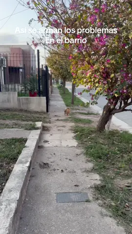 Parte 1 #