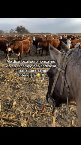 Y no es mentira 😂😂 #campoargentino🌱🌾🌻🐮🐂 #caballos #hablar #humor 