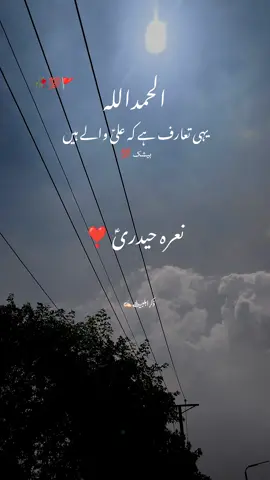 Alhamdulillah 💯❤️✨ #viralvideo #foryou #مولا_علی_علیہ_سلام #یاعلی_مدد #اہلبیت_کا_ذکر_تاقیامت_ہوتا_رہے_گا 