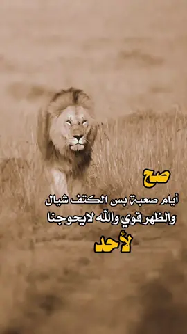 #tiktok #عبارات #fyp #أسبانيا #عبارات 