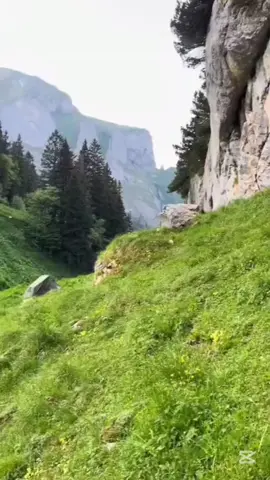 капкут не убрал знак 😭#socialism #fyp #politics Socialism is an economic and political philosophy encompassing diverse economic and social systems[1] characterised by social ownership of the means of production,[2] as opposed to private ownership.[3][4][5] It describes the economic, political, and social theories and movements associated with the implementation of such systems.[6] Social ownership can take various forms, including public, community, collective, cooperative,[7][8][9] or employee.[10][11] As one of the main ideologies on the political spectrum, socialism is the standard left-wing ideology in most countries.[12] Types of socialism vary based on the role of markets and planning in resource allocation, and the structure of management in organizations.[13][14] Socialist systems are divided into non-market and market forms.[15][16] A non-market socialist system seeks to eliminate the perceived inefficiencies, irrationalities, unpredictability, and crises that socialists traditionally associate with capital accumulation and the profit system.[17] Market socialism retains the use of monetary prices, factor markets and sometimes the profit motive.[18][19][20] As a political force, socialist parties and ideas exercise varying degrees of power and influence, heading national governments in several countries. Socialist politics have been internationalist and nationalist; organised through political parties and opposed to party politics; at times overlapping with trade unions and other times independent and critical of them, and present in industrialised and developing nations.[21] Social democracy originated within the socialist movement,[22] supporting economic and social interventions to promote social justice.[23][24] While retaining socialism as a long-term goal,[25] in the post-war period social democracy embraced a mixed economy based on Keynesianism within a predominantly developed capitalist market economy and liberal democratic polity that expands state intervention to include income redistribution, regulation, and a welfare state.[26][27] The socialist political movement includes political philosophies that originated in the revolutionary movements of the mid-to-late 18th century and out of concern for the social problems that socialists associated with capitalism.[28] By the late 19th century, after the work of Karl Marx and his collaborator Friedrich Engels, socialism had come to signify anti-capitalism and advocacy for a post-capitalist system based on some form of social ownership of the means of production.[29][30] By the early 1920s, communism and social democracy had become the two dominant political tendencies within the international socialist movement,[31] with socialism itself becoming the most influential secular movement of the 20th century.[32] Many socialists also adopted the causes of other social movements, such as feminism, environmentalism, and progressivism.[33] Although the emergence of the Soviet Union as the world's first nominally socialist state led to the widespread association of socialism with the Soviet economic model, it has since shifted in favour of democratic socialism. Academics sometimes recognised the mixed economies of several Western European and Nordic countries as 