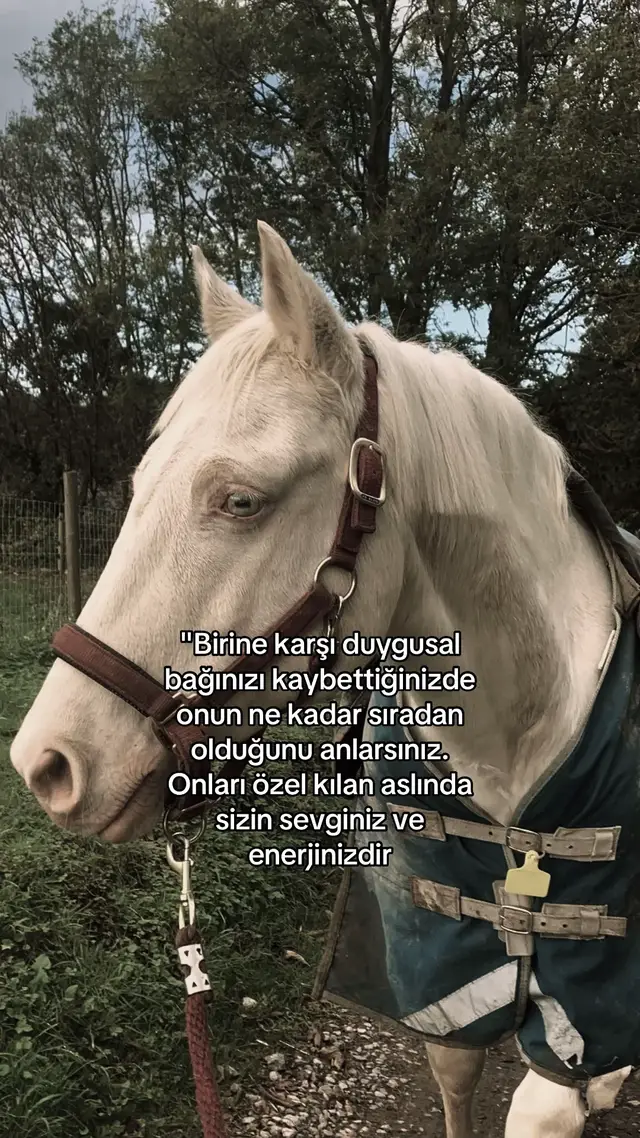 #beniöneçıkart #onecikarttiktok 