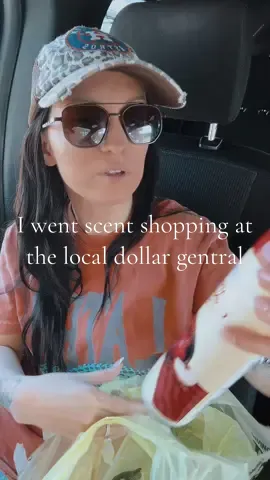 I love a good smelling house💗 #fallscents #dollargeneral #smellgood 