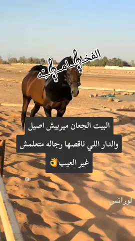 البيت الجعان ميربيش اصيل والدار اللي ناقصها رجاله متعلمش غير العيب... واللي اتربا ع العيب عمره ما يعرف يعني ايه أصول. ✋#🦅👌👌👌👌👌👌فۣۗہخۣۗہــــ⚔️ـــــــآمۣۗہة #قصايد_شعر_خواطر_عبارات 