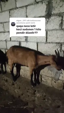 @elgun...297 adlı kullanıcıya yanıt veriliyor 