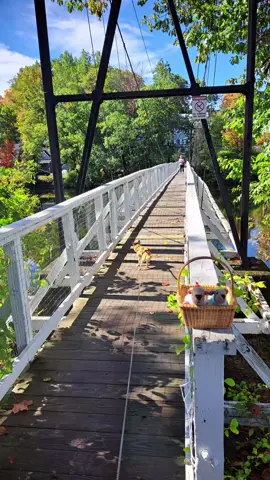Pics: Today's Daily Story: 10/1/25: Arnold Park: Part 2: Today I take you on a Swinging Bridge. We get a visit from a duck. The Princess leaves her Friendship Rock. I also tell you a bit about the Bridge & the Kennebec River. 