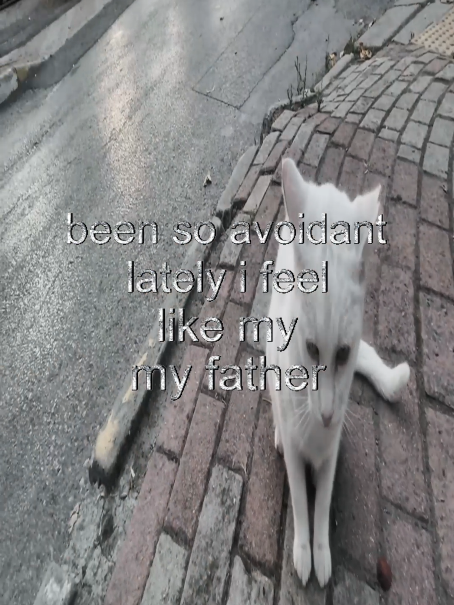#real #thoughts #fyp #cats #catcore #swag #relateable