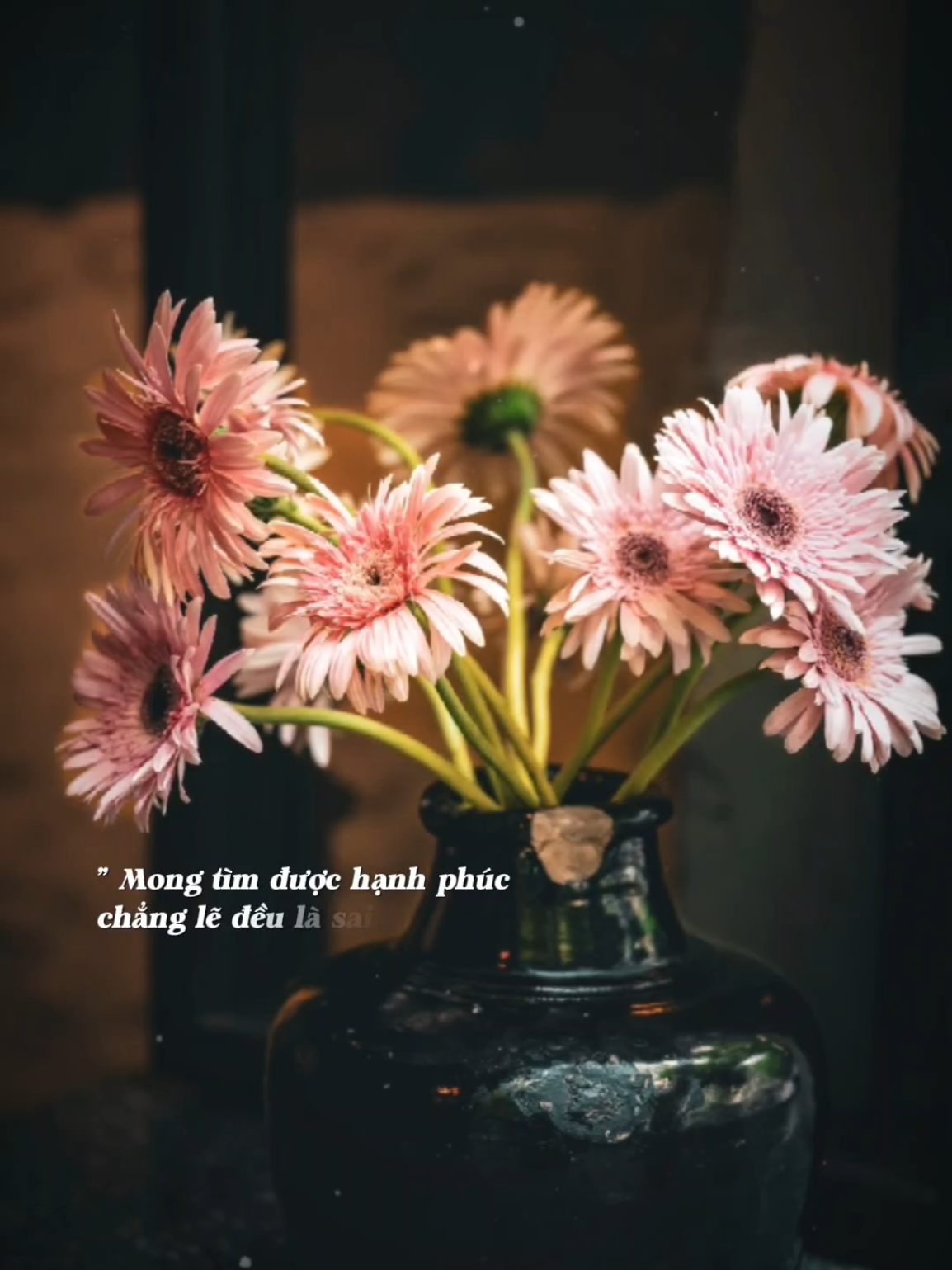 Thương em một cô gái quá nhiều vết thương lòng... #thuongphanhongnhan #nhachaymoingay 