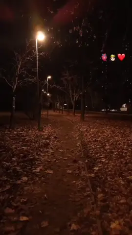 part:24//#blackscreen🖤🦋🥀#somaliyrics🌺😕💎#jawi_bila🌊❤️🌴#somalitiktok2025🇸🇴❤️💯🤝#Ereyo🤴🍃 