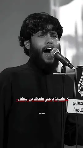 قال لهم انها فاطمه #مرتضى_حرب #الرادود_مرتضى_حرب 