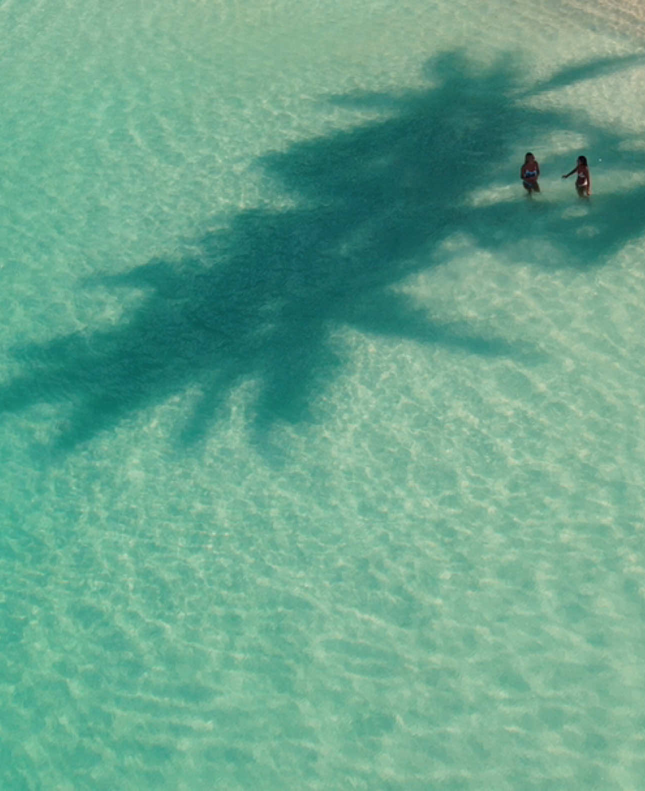 Immortalize moments in your life. #cinematic #cinematography #filmmaker #oahu #hawaii 