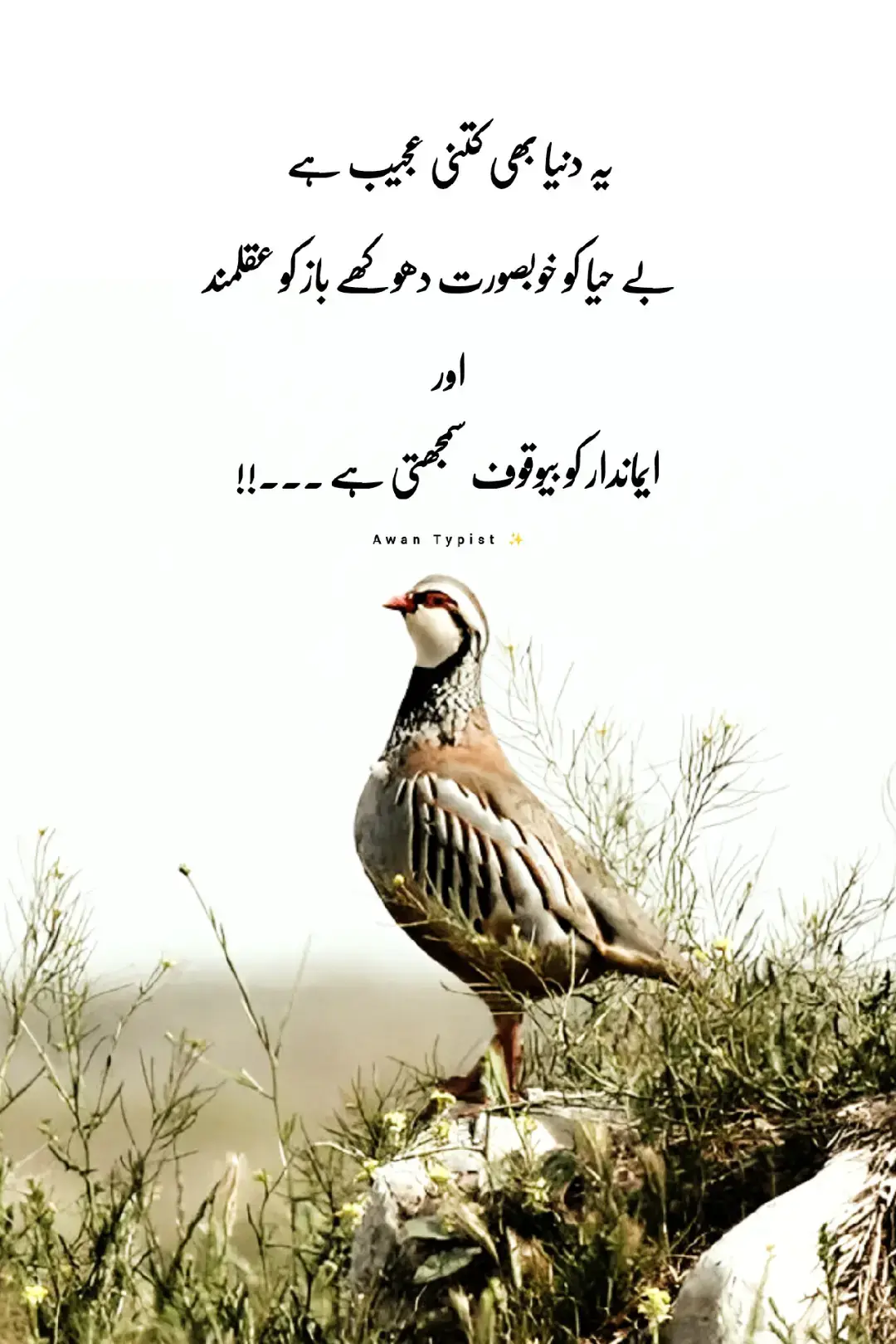 #plese_tiktok_for_you #100kviews 