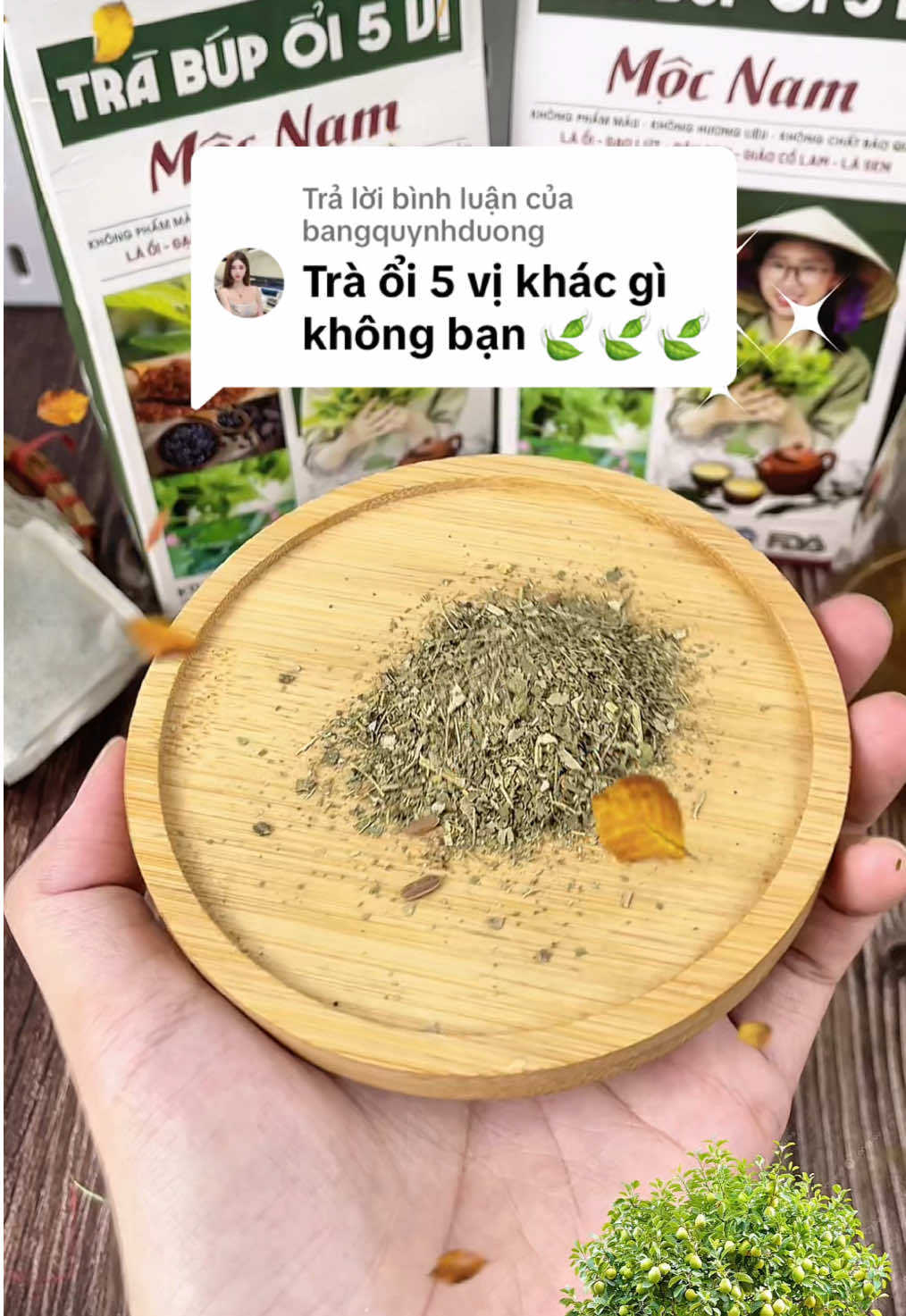 Trả lời @bangquynhduong Đây nha bạn trà búp ổi gồm 5 vị lá ổi, gạo lứt, đậu đen, giảo cổ lam, lá sen thơm dịu. Sản phẩm của nhà Mộc Nam nha mọi người 🍃🍃🍃 #tralaoi #tralaoinon #tralaoimocnam #trabupoi #trabupoimocnam 