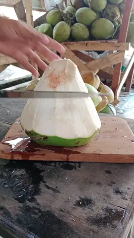 kelapa muda #coconutwater #coconutcuttingskills #fruits #esdegantong #youngcoconut 